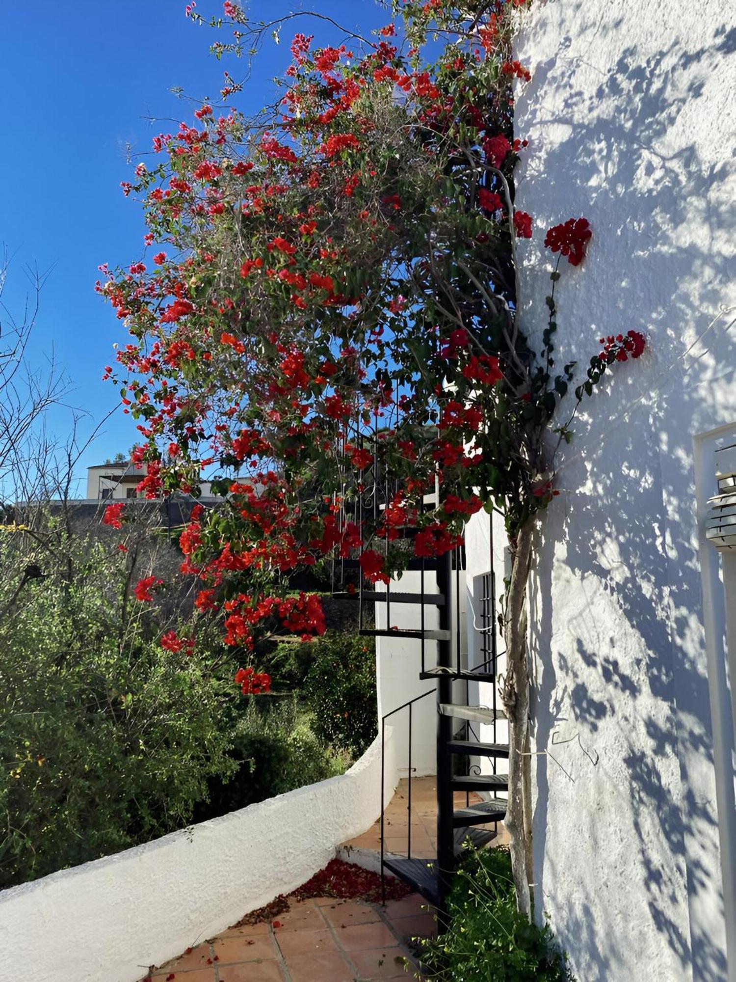 Willa Cortijo De La Fuente Con Vistas Impresionantes Y Playas A 20 Minutos Bédar Zewnętrze zdjęcie